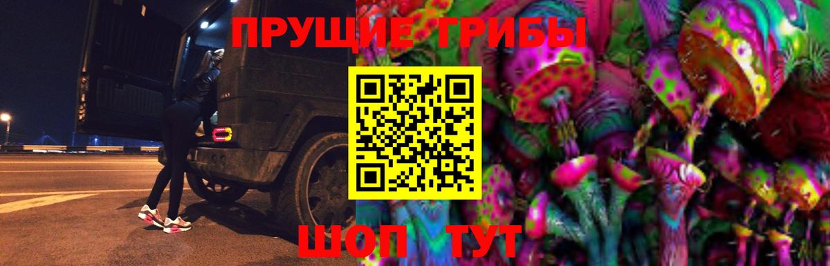 Галлюциногенные грибы Magic Shrooms Свободный